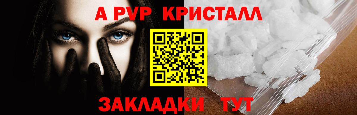 Альфа ПВП СК КРИС Тула