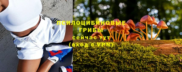 MESCALINE Алзамай