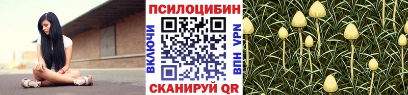 где можно купить   hydra tor  Галлюциногенные грибы GOLDEN TEACHER  Тула 