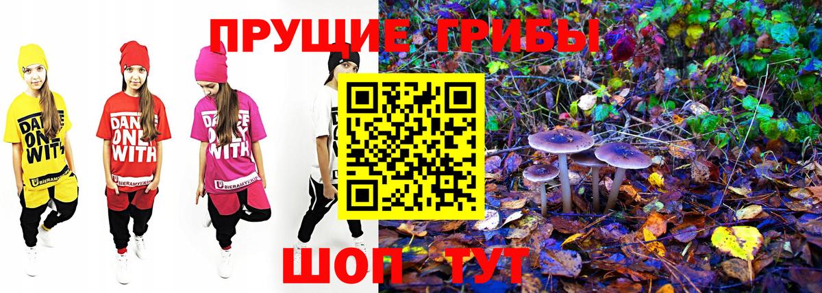 Тула  Псилоцибиновые грибы MAGIC MUSHROOMS  Вход с VPN 